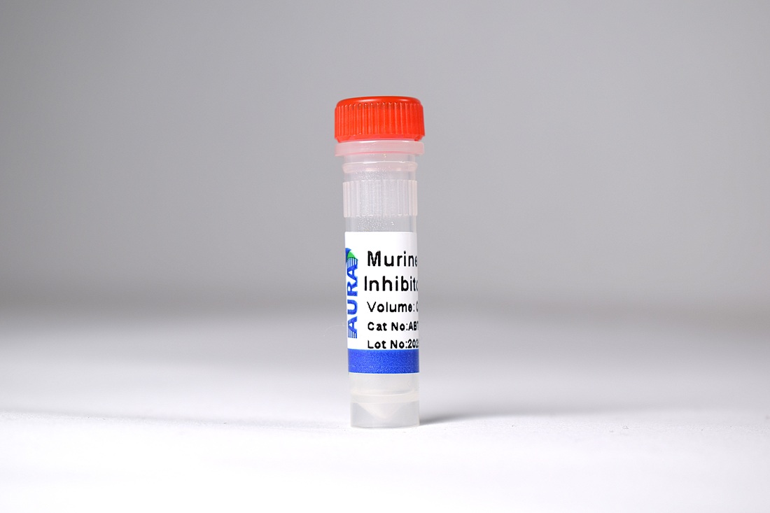 ABT-008 - Murine RNase Inhibitor - DSC_0684